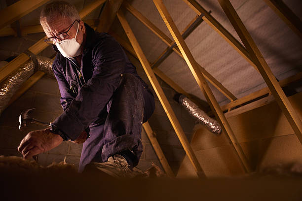 Best Fiberglass Insulation in Cutten, CA